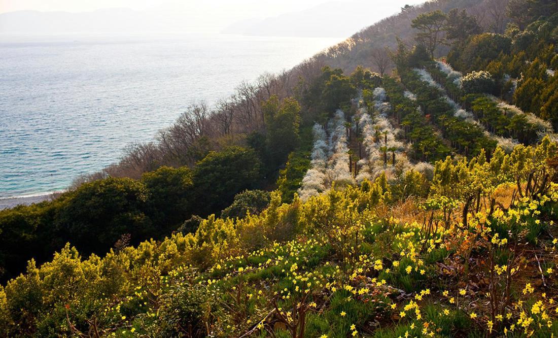 Geoje Cablecar Pension 외부 사진